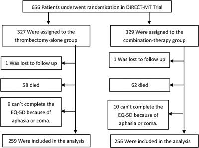 Patient-Reported Anxiety/Depression After Endovascular Thrombectomy: A post-hoc Analysis of Direct-MT Trial